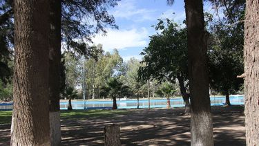 El próximo martes arrancan las reformas en el Camping El Pinar