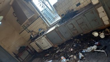 Inhabitable quedó la vivienda de Emilce, la mujer que tenía en tránsito 30 perros en su domicilio de Pocito.