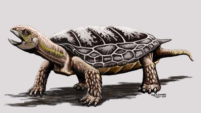 Descubren en Marayes una tortuga que vivió hace 205 millones de años