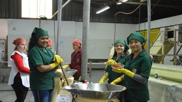 Con una fuerte inversión, buscan que en Jáchal no se vuelvan a perder membrillos