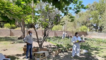 La huerta del Hogar de Ancianos dio sus primeros frutos