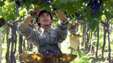 La cosecha ya superó el pronóstico del INV