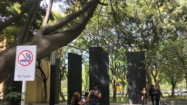 Seis de cada diez sanjuaninos, a favor de la intención de prohibir fumar en espacios públicos abiertos