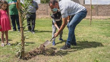 Bosques urbanos en el corazón de Rivadavia