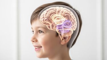La clave detrás de la inteligencia infantil: un estudio apunta al equilibrio del cerebro