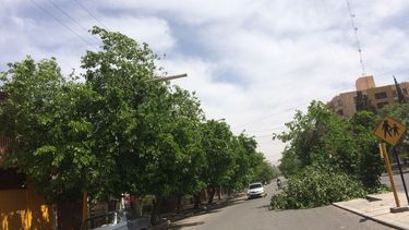 El Zonda llegó fuerte y trajo incendios, ramas caídas y cortes de energía
