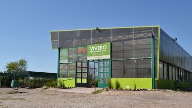 Vivero de Plantas Nativas: único en la provincia