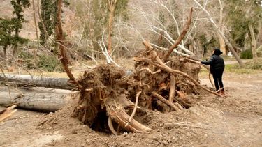 Por el fenómeno del Niño, podrían llegar más vientos sorpresivos