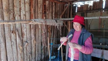 Gran entusiasmo por aprender técnicas tradicionales de tejido en telar