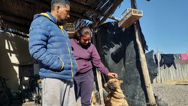 Habló el dueño de Tyson, el perro del feroz ataque en Caucete: Yo les pido perdón a los papás