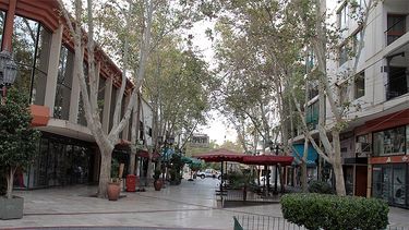 Estos son los feriados del comercio por Carnaval en la provincia