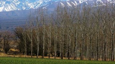 Un sismo estremeció a las montañas barrealinas
