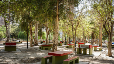 El Camping de Rivadavia tendrá su reapertura para este 21 de septiembre.