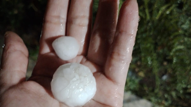 El granizo que cayó en Angaco.