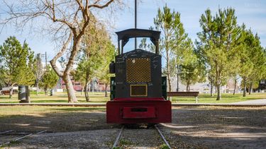 Video: el símbolo de la alegría de grandes y chicos en el Parque de Mayo