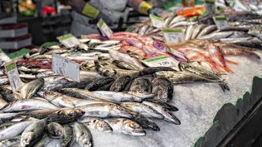 Capital controlará la venta de pescados a comercios y vendedores ambulantes
