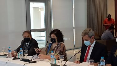 Definiciones de Vizzotti en San Juan: uso de barbijo, intensidad de la gripe y rebrote de Covid-19