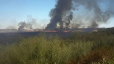 Huaco y Valle Fértil, sin luz por un incendio en una línea de alta tensión