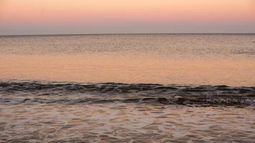 Advierten que la acidez del mar aumenta más rápido de lo previsto y pone en riesgo la vida marina