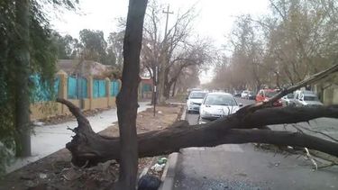 Operativo de emergencia en Capital por los fuertes vientos