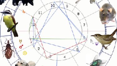 Olvidate de Aries, Piscis y Tauro y mirá tu horóscopo sanjuanino