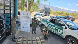 Un micro que salía de Salta e iba a pasar por San Juan llevaba 65 kilos de marihuana: tres detenidos Un micro que salía de Salta e iba a pasar por San Juan llevaba 65 kilos de marihuana: tres detenidos