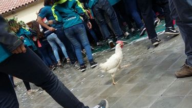 Último primer día: en Educación remarcaron la responsabilidad de los padres