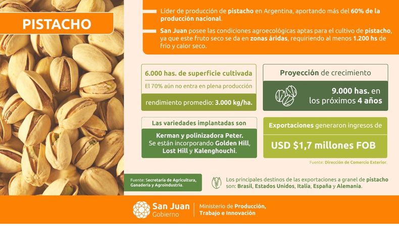 San Juan fortalece su perfil exportador con el crecimiento del pistacho