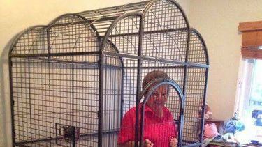 Avisos virales de sanjuaninos: uno vende la suegra, otro una jaula para encerrarlas