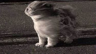 Cortes de luz y mucha sorpresa, lo que reportaron nuestros lectores