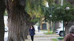 El domingo estará fresco, pero soleado