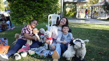 Estuviste en el desfile de mascotas de Santa Lucía, ¡buscate!