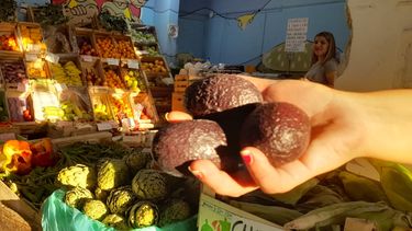 Dólar palta en San Juan: el kilo se vende a más de $3.200