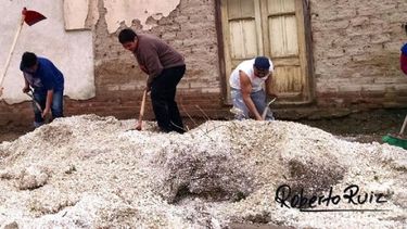 Son 5 los departamentos más afectados: evacuaron familias en Jáchal