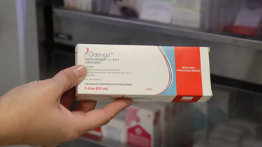 Explicaron por qué no se realiza una campaña de vacunación masiva y gratuita contra el dengue, en medio de la circulación viral y el brote de la enfermedad.