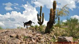 Postales para enamorarse