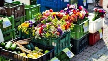 Llega la Feria Agrícola Itinerante a Rawson