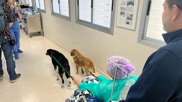 El hospital que permite a pacientes terminales despedirse de sus mascotas: cómo es el proceso