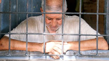 La dura vida de un jubilado que no llega a fin de mes y que vive con 40 gatos