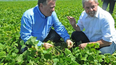 brasil lanza credito por unos 2.000 millones de dolares para impulso agricola brasil lanza credito por unos 2.000 millones de dolares para impulso agricola