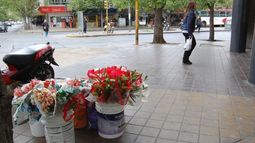 Martes para una camperita