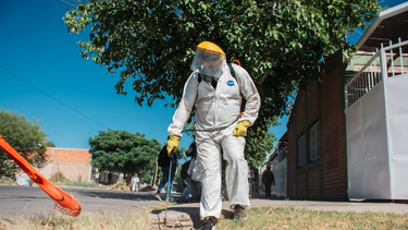 Prevención del dengue.
