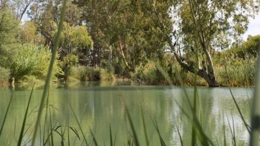 Volvió un clásico de los paseos sanjuaninos al aire libre