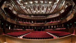 ¿Compraste entradas para ir al Bicentenario? Así tenes que hacer para recuperar el dinero