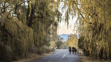Cómo se vivió la vuelta del turismo interno en San Juan: la conducta de los visitantes y un problema
