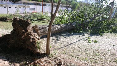 Destrucción en El Palomar por el Zonda
