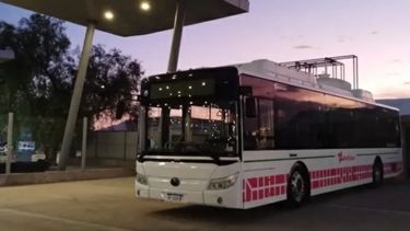 Video: así se viaja gratis a la Fiesta Nacional del Sol