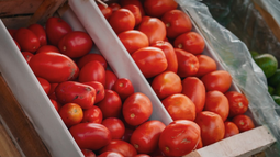 Frutas, verduras y productos regionales se podrá comprar en el Feria Agroindustrial de Pocito.  