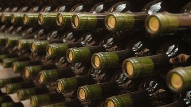 Hoy comienza la Ruta del Vino de San Juan