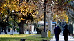 Martes otoñal en San Juan: jornada estable y con temperaturas agradables Martes otoñal en San Juan: jornada estable y con temperaturas agradables